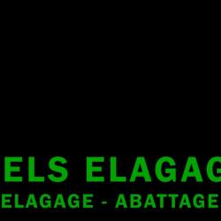 Wels élagage Du 13, à Votre Profit