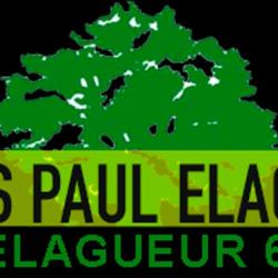 Wels Paul, élagueur Pro Du 67