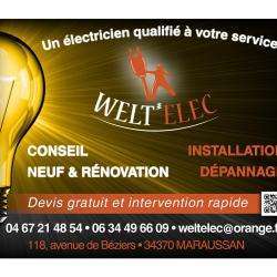 Welt'elec