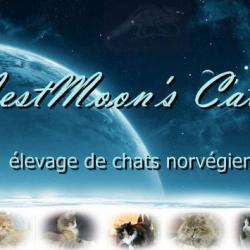 Westmoon's