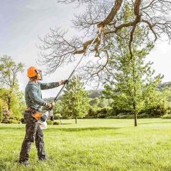 Wigan Tree Pruning