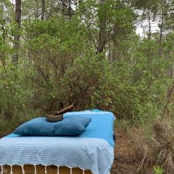 Wild & Zen Massages