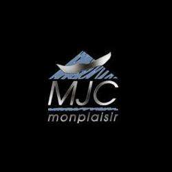 Wing Chun Mjc De Lyon Monplaisir