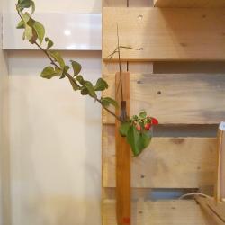 Wood And More