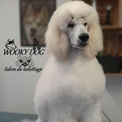 Wooky Dog