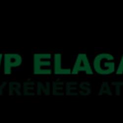 Wp Elagage, Excellent élagueur 64