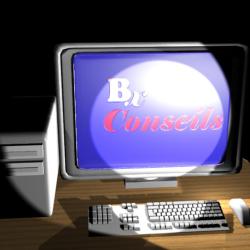 Xavier Bertin - Bxconseils