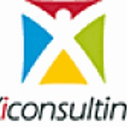 XI Consulting