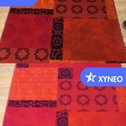 Xyneo