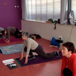 Yoga Cool
