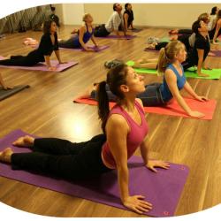 Yoga Ludivine