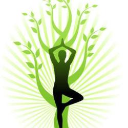 Yoga Toulouse St Michel