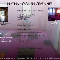 Yogatika