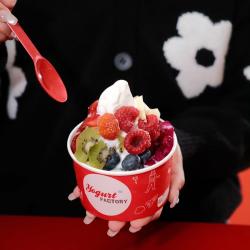 Yogurt Factory Le Marais