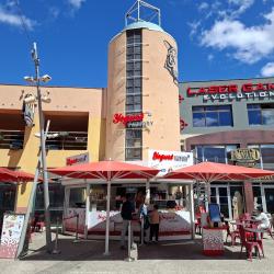 Yogurt Factory