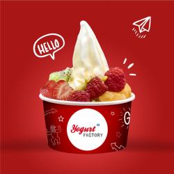 Yogurt Factory Nantes