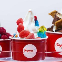 Yogurt Factory Beaugrenelle