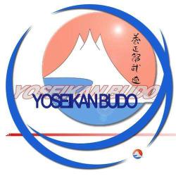 Yoseikan Budo Bassin Houiller