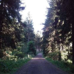 Yourte Du Sancy