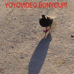 Yoyo Video