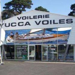Yucca Voiles