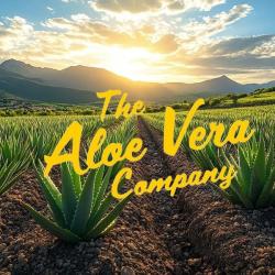 Zen Aloe