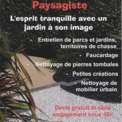Zen Paysage 41