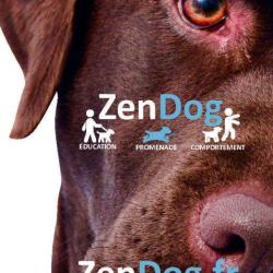 Zendog