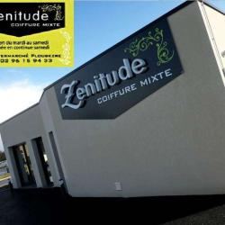 Zenitude