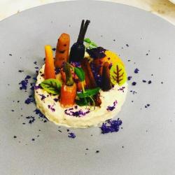 Zeste Gourmand