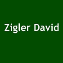 Zigler David
