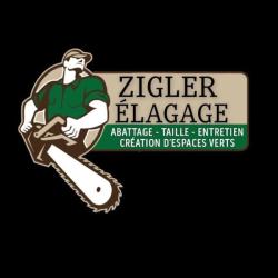 Zigler Vergel David