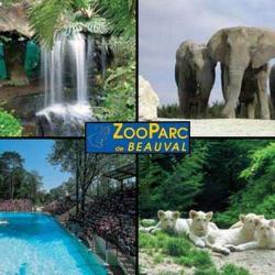 Zoo Parc De Beauval