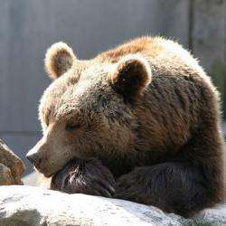 Zoo De Besançon
