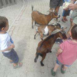 Zoo De Bordeaux-pessac