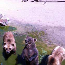 Zoo De La Boissière Du Doré