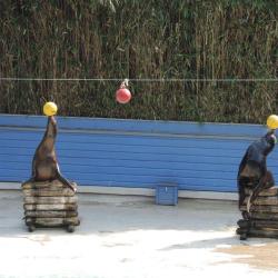 Zoo De La Flèche