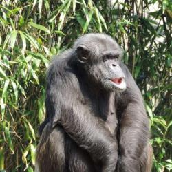 Zoo De La Flèche
