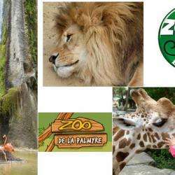 Zoo De La Palmyre