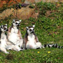 Parc Zoologique Et Végetal De Trégomeur