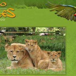 Zoo Des Sables