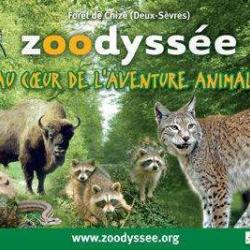 Zoodyssée