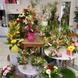 Zrak Fleurs
