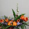 Corbeille de fleurs à Nîmes (30), Agapanthe et Compagnie
