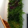 Mur végétal vivant AQUAPHUTON, technique hydroponique racines nues