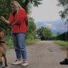 education chiot