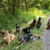 Dans les yeux de mon chien – Éducateur et comportementaliste canin