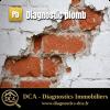 Diagnostic Plomb