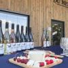 Dégustation des vins du Domaine du Croc du Merle à Muides sur Loire (41)