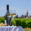 Dégustation vin Pouilly Fumé et IGP Val de Loire Sauvignon au Domaine Treuillet à Tracy sur Loire, Nièvre